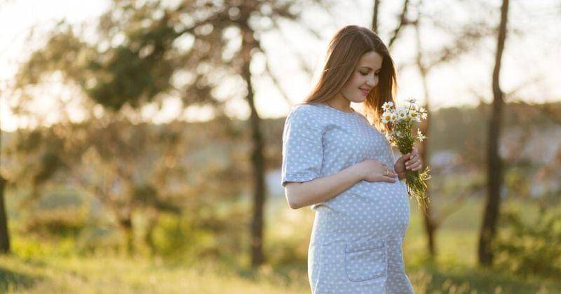 Freepik/bristekjegor